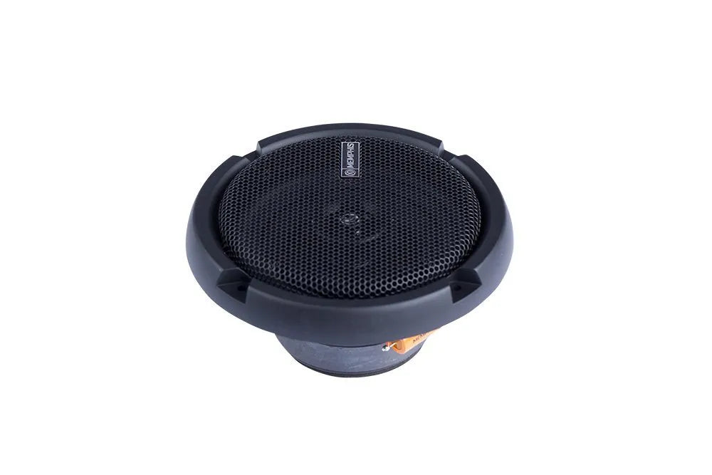 PRX5  5.25" 2-WAY WITH SWIVEL TWEETER